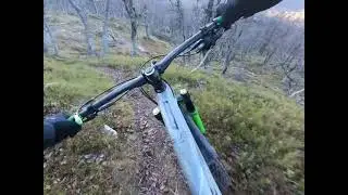 Forgotten trail