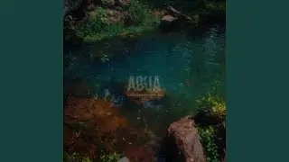 Agua