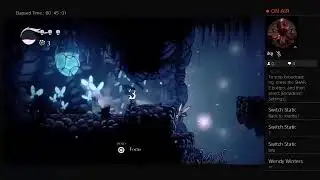 Hollow  Knight