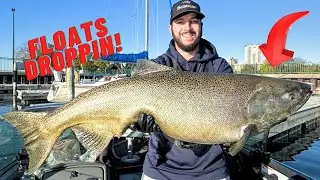 Fall King Salmon Fishing with Bobbers (Float Fishing Action & Rig)