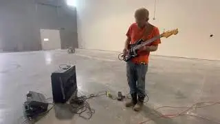 1974 Fender Silver Face Super Reverb DIMED WITH Glorious Natural Reverb!