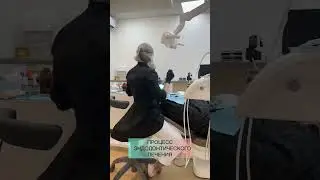 Самый быстрый стоматолог #стоматолог #стоматология #shorts #short #shortsvideo