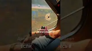 AeroTeamMoldova - это&hellip;