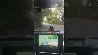 Innova hycross drive in Agumbe Ghat region