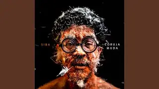 Coruja Muda