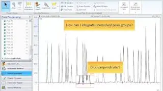 Chromeleon: SmartPeaks