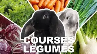 Quels légumes pour mes lapins ? Je vous emmène faire les courses