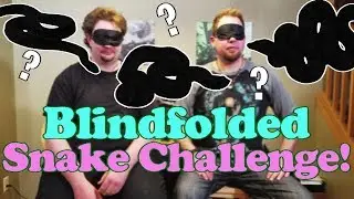 Identifying Snakes While Blindfolded!
