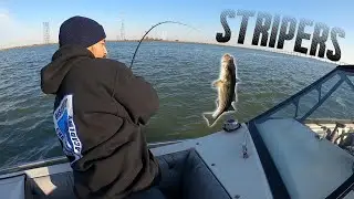 chasing stripers in Rio Vista.
