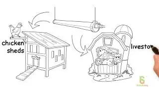 LED Poultry Lighting | Best Lights For Your Chicken Shed