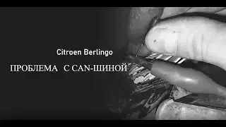 Citroen Berlingo не запускается...