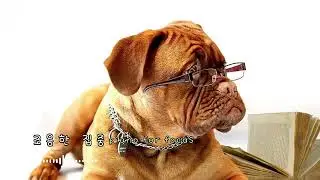 집중이 필요한 시간, 조용히 흐르는 피아노 음악