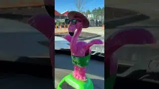 chill here near garden center #toys #cocomelon #shortsfeed #shortsviral