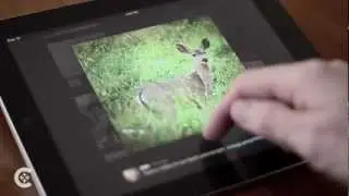Rediscovering the human in a digital culture