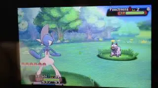 ORAS Shiny Mega Gallade Animation