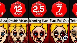 Timeline: What If You Blinked Nonstop