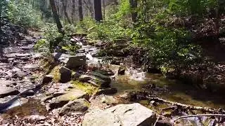 Veach Gap Hike George Washington National Forest