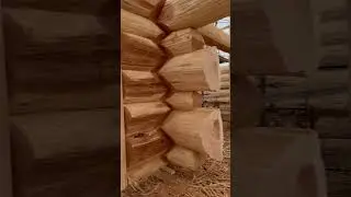 A awesome video tour of a massive Cedar log home!!
