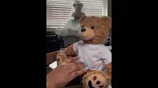 DIY Furrygrams Kit - how to make you own custom teddy bear that talks!