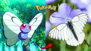 BUTTERFREE de POKÉMON en la VIDA REAL