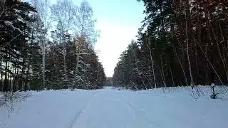 100 лет гибели Есенина. 
