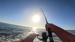 FISHING PELAGICS ON LIGHT GEAR