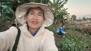 สด   รื้อแล้ว
