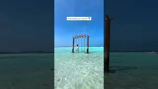 Imagine spending your day here! #maldives #beach #resort #shorts