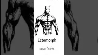 Ectomorph 💀