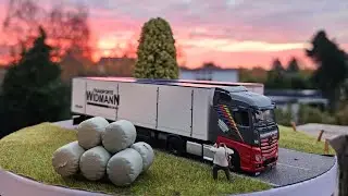 Modelle Beschriften für unseren Kunden in Österreich 🚛🇦🇹 Widmann Transporte