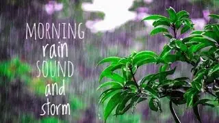 Rain sound and storm with snow blower