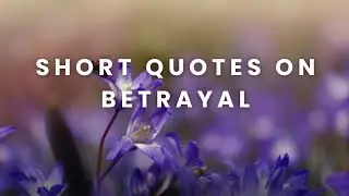 SHORT QUOTES ON BETRAYAL  || @4UDIARY || QUOTES