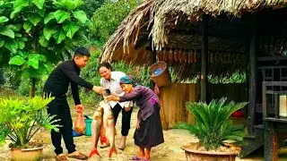 Big Surprise in Forest Life | Mr. Khang Brings a Huge Fish for the Old Woman & Homeless Girl