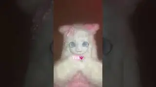 Snowpawssx on TikTok #furry #furrycommunity #fursona #introduction #introductionvideo #snowpawssx