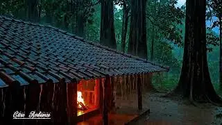 Deep Sleep Rain Sounds in a Javanese Traditional Village House | Cozy, Fireplace, Forest Ambience