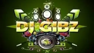 DJ GIBZ PBC MIX 2014