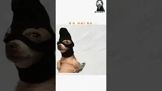 Paisaa 🙌#shorts#funnymeme#catvideo#relatable#catmemes #funnyvideo#ytshorts
