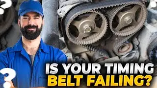 Signs That Your Timing Belt is Up For A Change