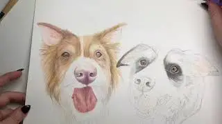 Zest It Pencil Blend Hack! // TUESDAY TIP
