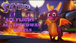 Spyro Reignited Trilogy | All Flight & Speedway levels | All Skill Points | Speedrun Stages