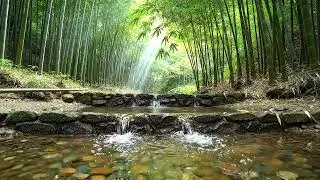 Soft Piano by a Whispering Stream | Gentle Flowing Water Nature Ambience