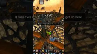 If you ever wondered how people get up top of this cage in Tanaris. Here ya go! #reels #wowclassic