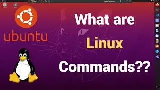 what are linux commands? | linux command classification | type command | which command