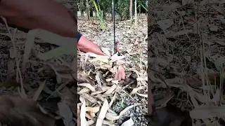 Survival Knot Hack You&rsquo;ve Never Seen Before #shortsviral #knothacks #woodworkingplans