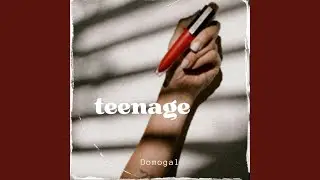 Raports