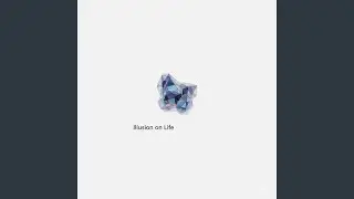 Illusion on Life