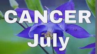 Cancer July 2021, Tarot Reading, Time to Celebrate