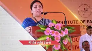 Handicraft Sector - Initiatives and Achievements | Ministry of Textiles