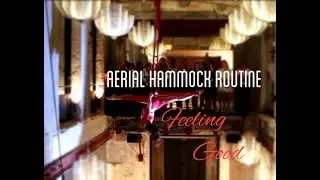 Aerial Hammock Performance: Feeling Good