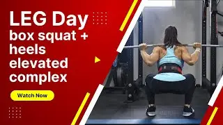 Vlog Ep 12 MI40 Gym   Leg Workout